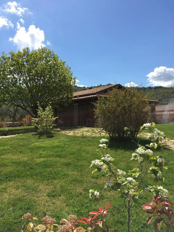 Agriturismo Mulin di mezzo Montefiascone Esterno foto